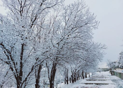 برف زمستانی در پلدشت