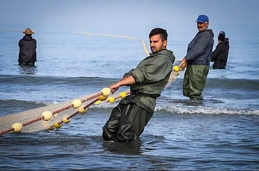 آبزی پروری